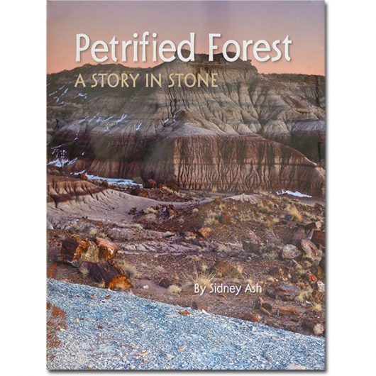 Petrified Forest: A Story in Stone, Second Edition