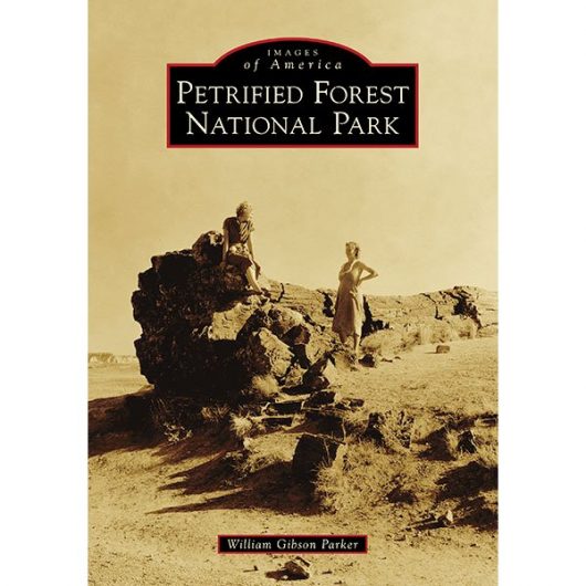 Images of America - Petrified Forest National Park