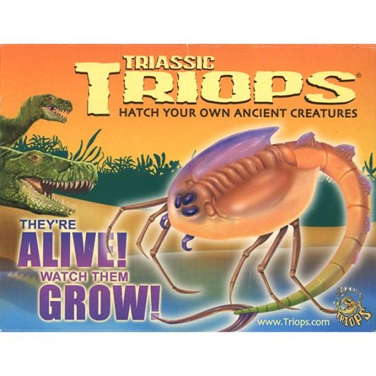 Triassic Triops Hanging Box