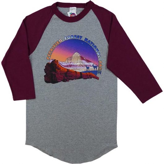 Baseball Raglan Heather T-Shirt in Maroon
